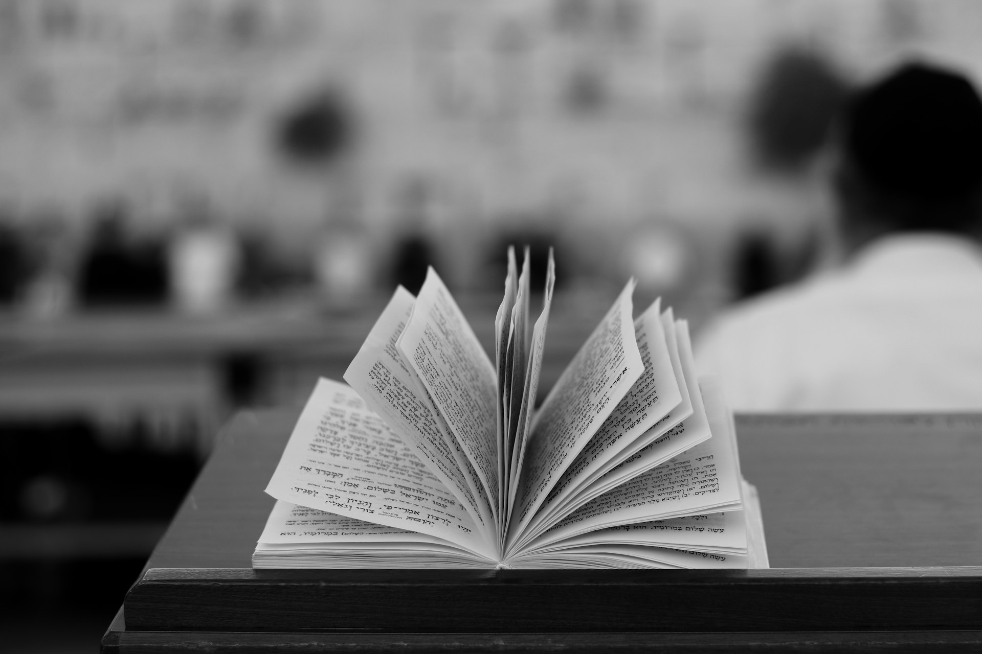 Libros de la Torá